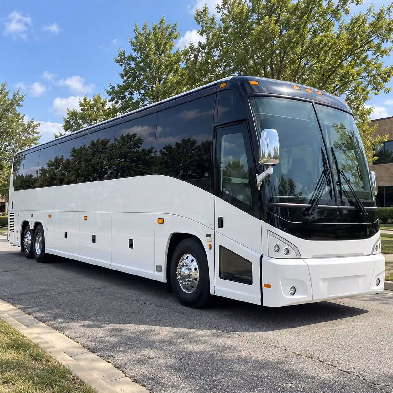 your houston zoo and hermann park field trip bus rental